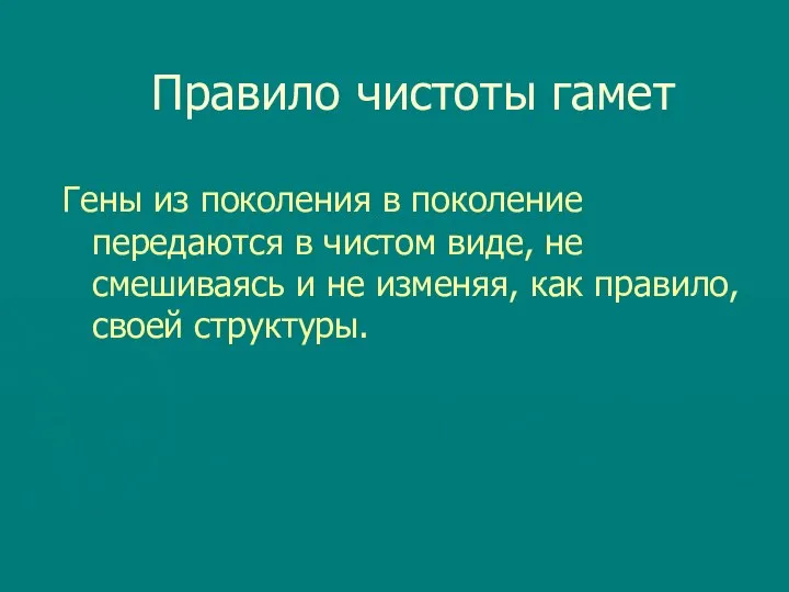 Правило чистоты гамет Гены из поколения в поколение передаются в чистом