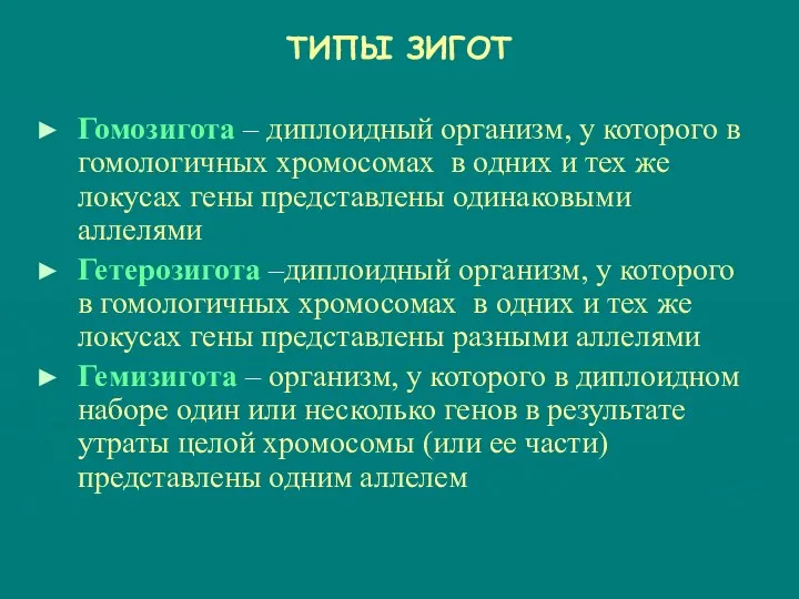 ТИПЫ ЗИГОТ Гомозигота – диплоидный организм, у которого в гомологичных хромосомах