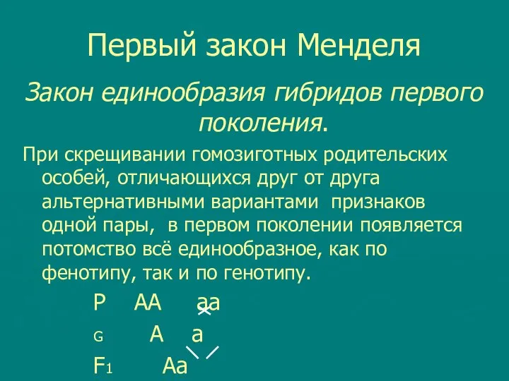 Первый закон Менделя Закон единообразия гибридов первого поколения. При скрещивании гомозиготных