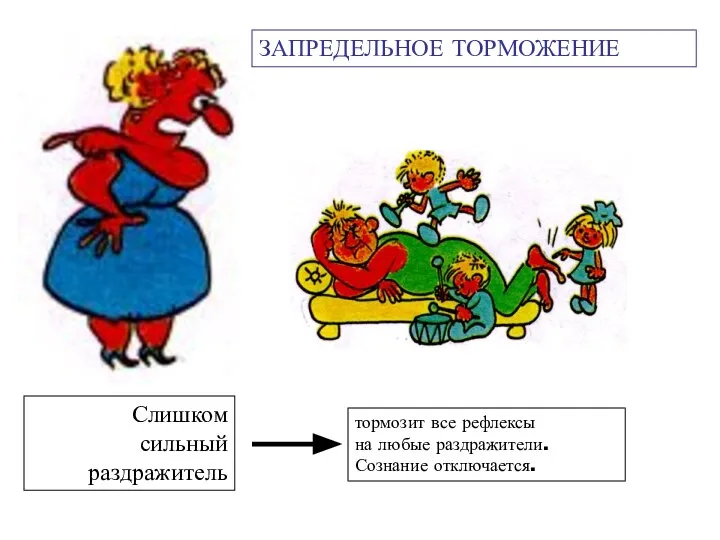 ЗАПРЕДЕЛЬНОЕ ТОРМОЖЕНИЕ Слишком сильный раздражитель тормозит все рефлексы на любые раздражители. Сознание отключается.