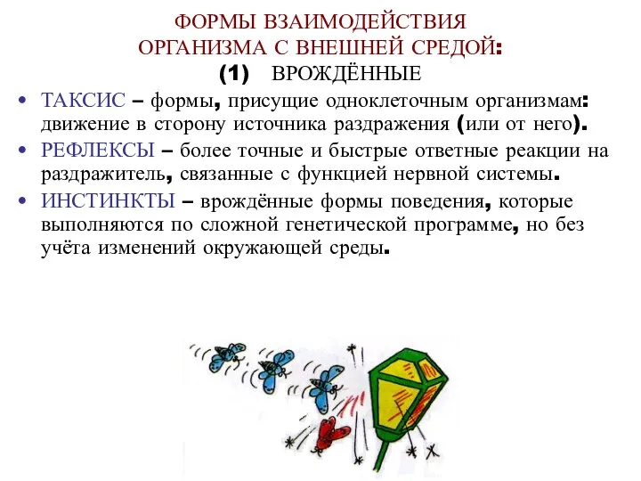 ФОРМЫ ВЗАИМОДЕЙСТВИЯ ОРГАНИЗМА С ВНЕШНЕЙ СРЕДОЙ: (1) ВРОЖДЁННЫЕ ТАКСИС – формы,