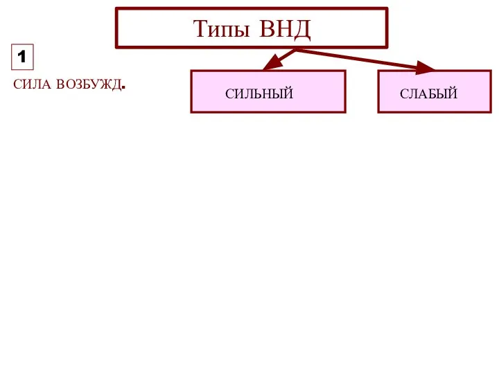 СИЛА ВОЗБУЖД. Типы ВНД СИЛЬНЫЙ СЛАБЫЙ 1