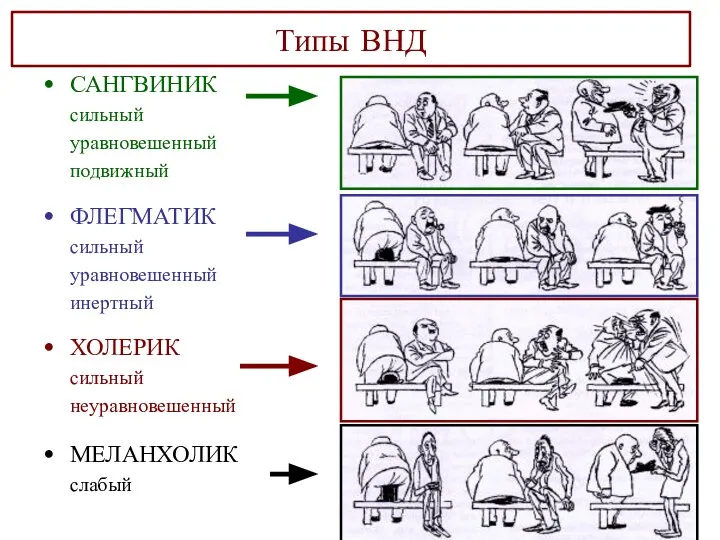 Типы ВНД САНГВИНИК сильный уравновешенный подвижный ФЛЕГМАТИК сильный уравновешенный инертный ХОЛЕРИК сильный неуравновешенный МЕЛАНХОЛИК слабый