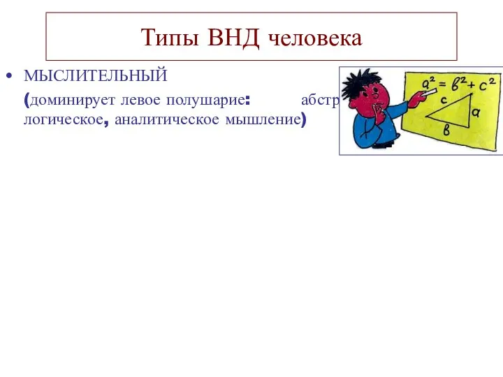 Типы ВНД человека МЫСЛИТЕЛЬНЫЙ (доминирует левое полушарие: абстрактно-логическое, аналитическое мышление)