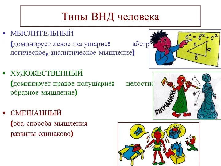 Типы ВНД человека МЫСЛИТЕЛЬНЫЙ (доминирует левое полушарие: абстрактно-логическое, аналитическое мышление) ХУДОЖЕСТВЕННЫЙ