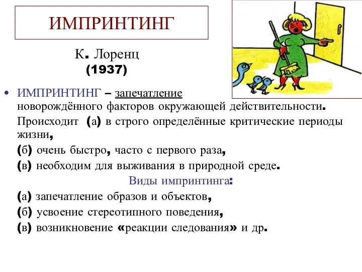 ИМПРИНТИНГ ИМПРИНТИНГ – запечатление в памяти новорождённого факторов окружающей действительности. Происходит