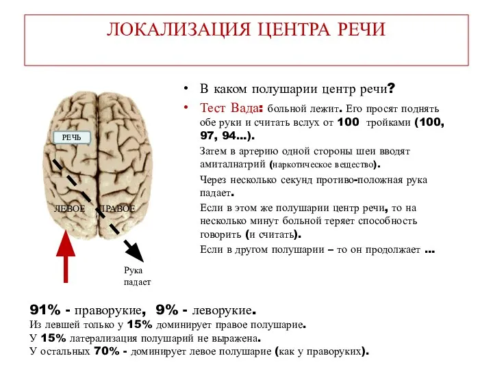 ЛОКАЛИЗАЦИЯ ЦЕНТРА РЕЧИ В каком полушарии центр речи? Тест Вада: больной