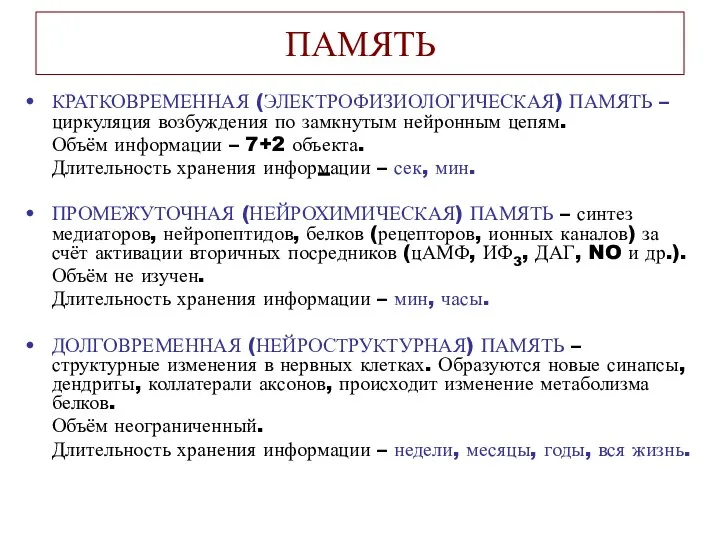 ПАМЯТЬ КРАТКОВРЕМЕННАЯ (ЭЛЕКТРОФИЗИОЛОГИЧЕСКАЯ) ПАМЯТЬ – циркуляция возбуждения по замкнутым нейронным цепям.