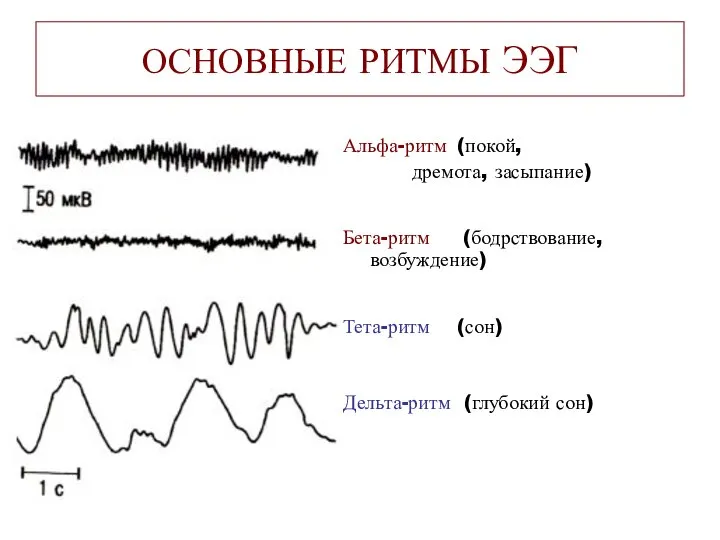 ОСНОВНЫЕ РИТМЫ ЭЭГ Альфа-ритм (покой, дремота, засыпание) Бета-ритм (бодрствование, возбуждение) Тета-ритм (сон) Дельта-ритм (глубокий сон)