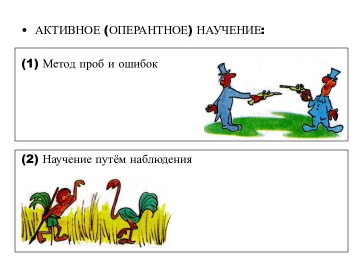 АКТИВНОЕ (ОПЕРАНТНОЕ) НАУЧЕНИЕ: (1) Метод проб и ошибок (2) Научение путём наблюдения