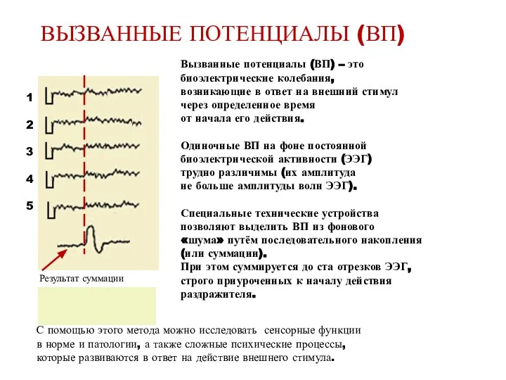 1 2 3 4 5 Результат суммации Вызванные потенциалы (ВП) –