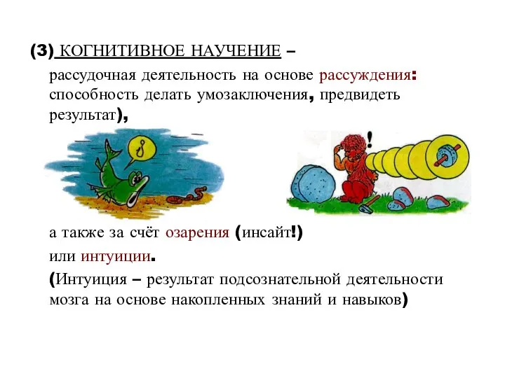 (3) КОГНИТИВНОЕ НАУЧЕНИЕ – рассудочная деятельность на основе рассуждения: способность делать