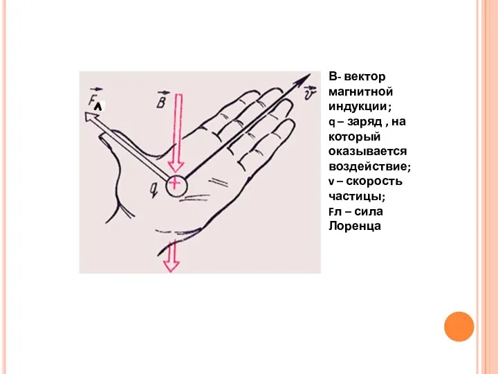 В- вектор магнитной индукции; q – заряд , на который оказывается