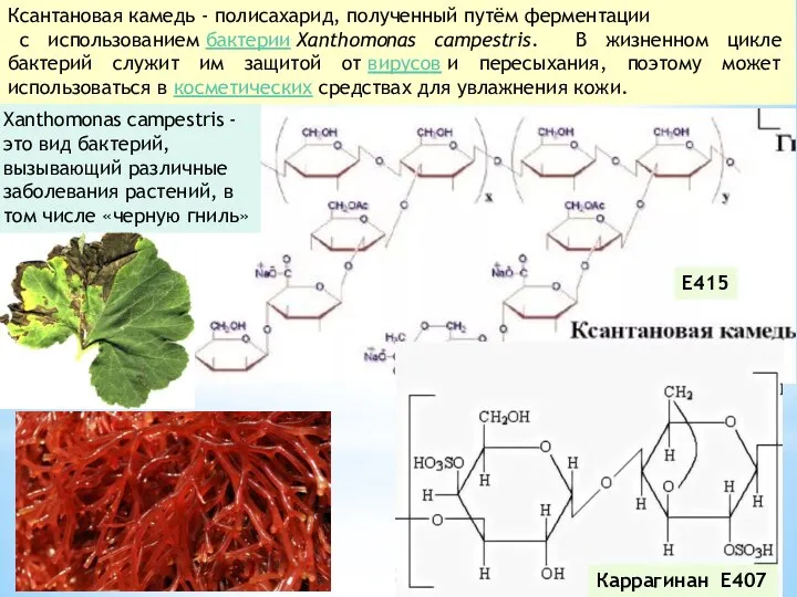 Каррагинан E407 E415 Ксантановая камедь - полисахарид, полученный путём ферментации с