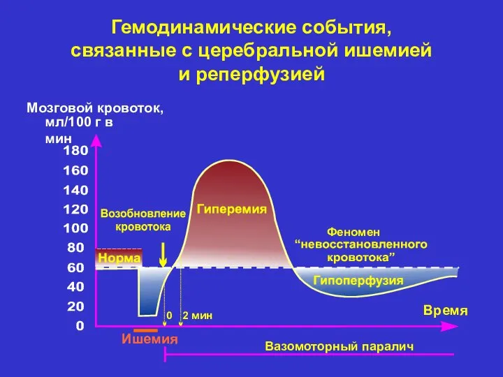 Гемодинамические события, связанные с церебральной ишемией и реперфузией