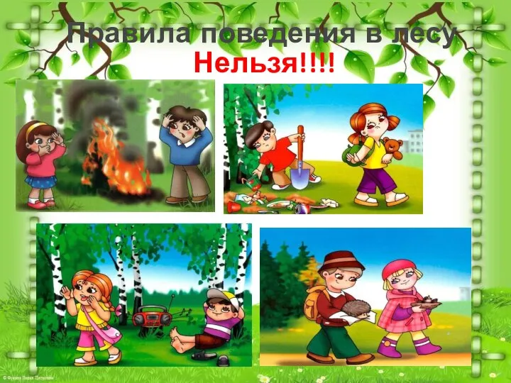 Нельзя!!!! Правила поведения в лесу