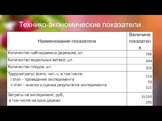 Технико-экономические показатели