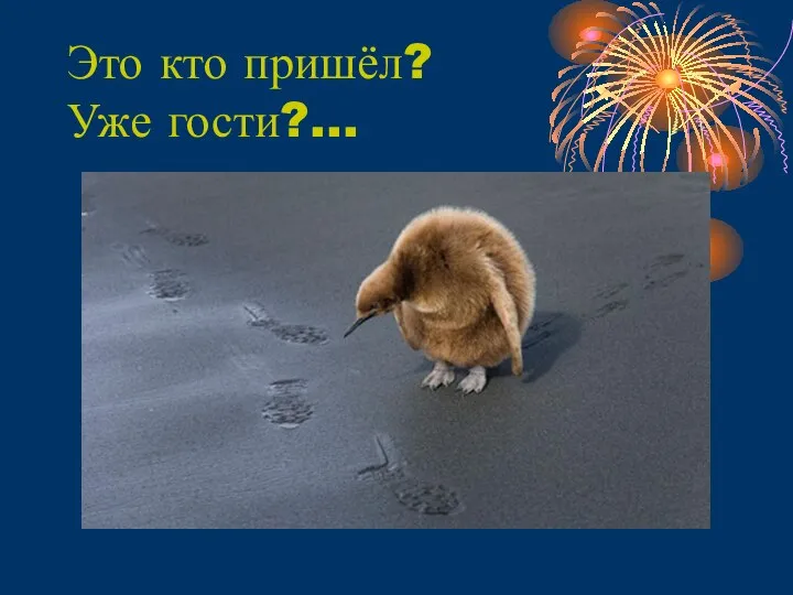 Это кто пришёл? Уже гости?...