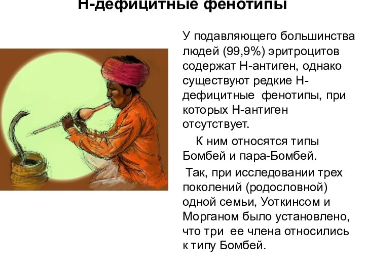 Н-дефицитные фенотипы У подавляющего большинства людей (99,9%) эритроцитов содержат Н-антиген, однако