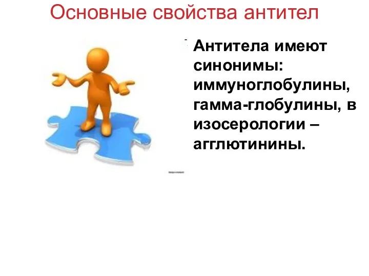 Основные свойства антител Антитела имеют синонимы: иммуноглобулины, гамма-глобулины, в изосерологии – агглютинины.