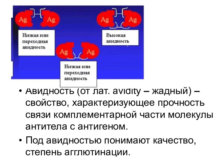 Авидность (от лат. аvidity – жадный) – свойство, характеризующее прочность связи