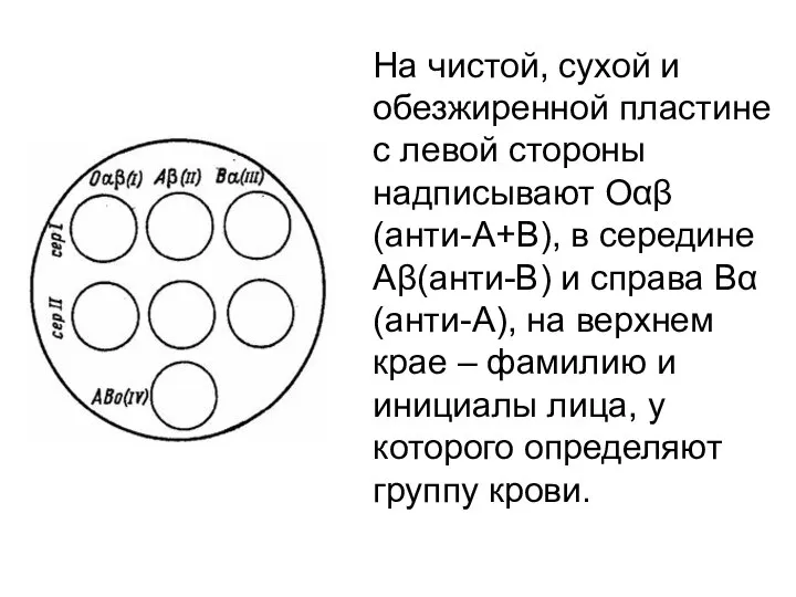 На чистой, сухой и обезжиренной пластине с левой стороны надписывают Оαβ