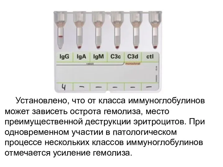 Установлено, что от класса иммуноглобулинов может зависеть острота гемолиза, место преимущественной