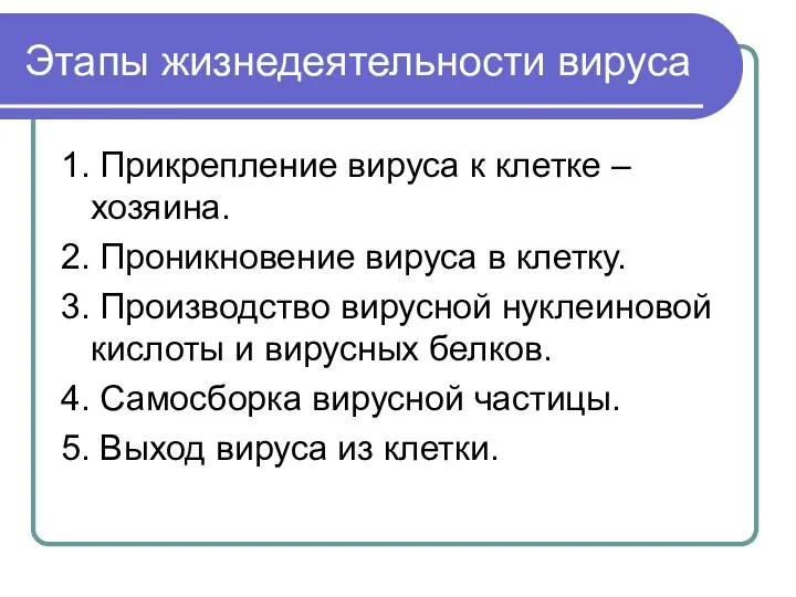 Этапы жизнедеятельности вируса 1. Прикрепление вируса к клетке –хозяина. 2. Проникновение