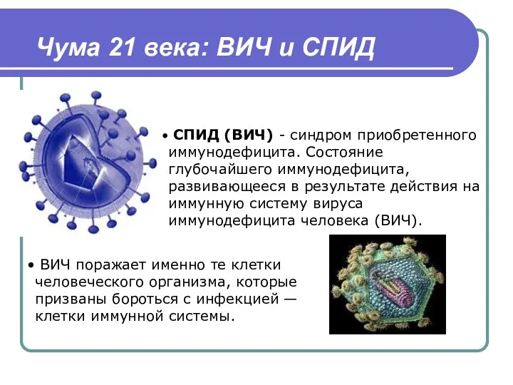 Чума 21 века: ВИЧ и СПИД СПИД (ВИЧ) - синдром приобретенного