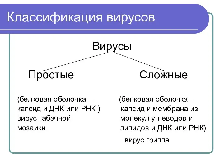 Классификация вирусов Вирусы Простые Сложные (белковая оболочка – (белковая оболочка -