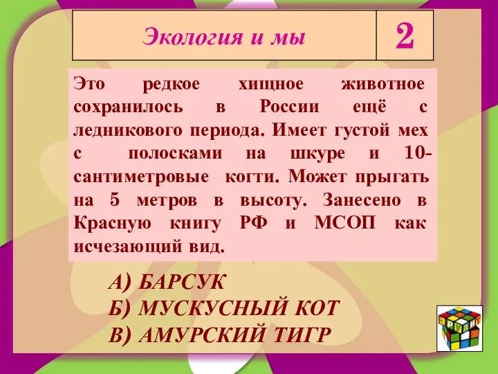 Это редкое хищное животное сохранилось в России ещё с ледникового периода.