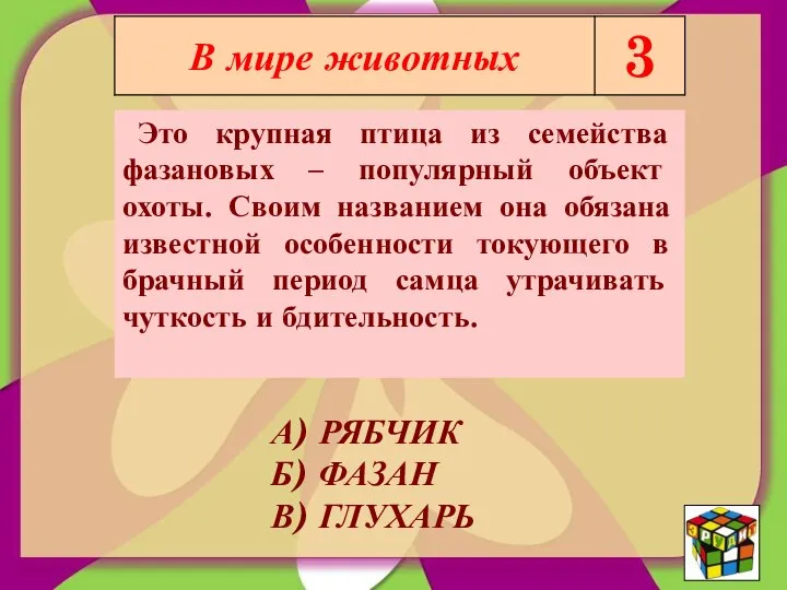 Это крупная птица из семейства фазановых – популярный объект охоты. Своим