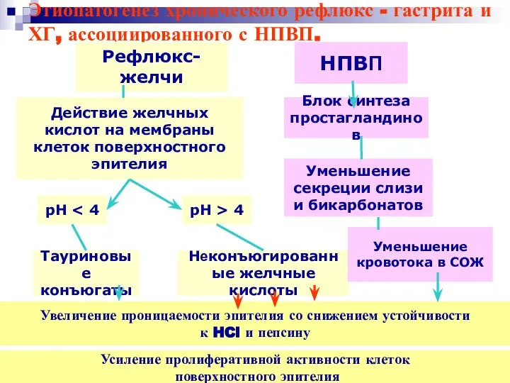 Этиопатогенез хронического рефлюкс - гастрита и ХГ, ассоциированного с НПВП. Рефлюкс-