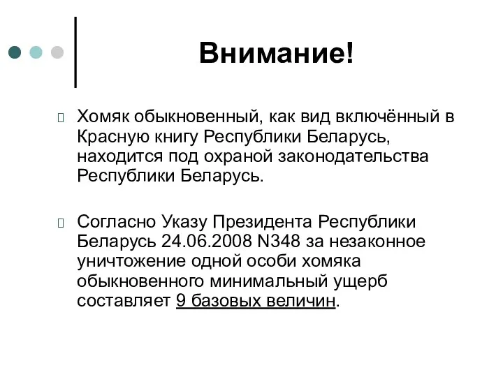 Внимание! Хомяк обыкновенный, как вид включённый в Красную книгу Республики Беларусь,