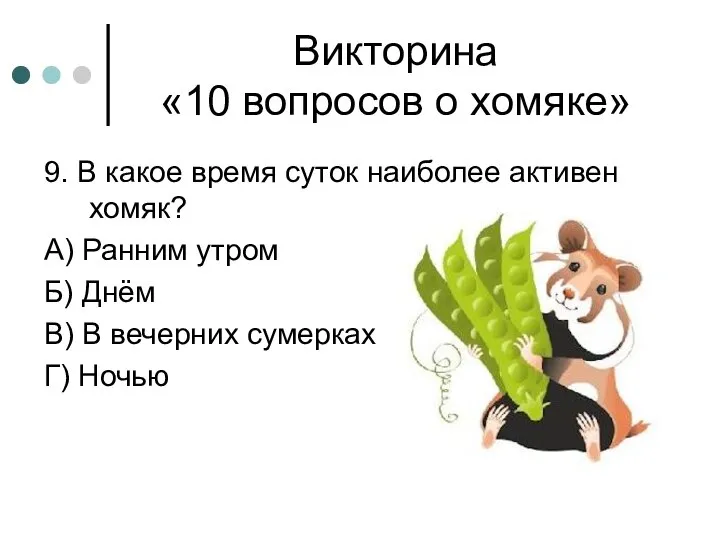 Викторина «10 вопросов о хомяке» 9. В какое время суток наиболее