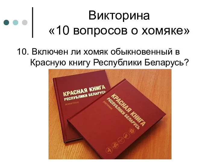 Викторина «10 вопросов о хомяке» 10. Включен ли хомяк обыкновенный в Красную книгу Республики Беларусь?