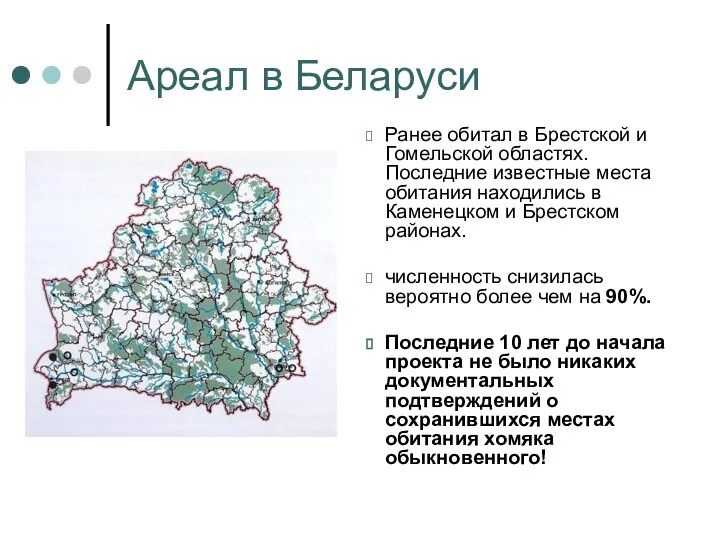 Ареал в Беларуси Ранее обитал в Брестской и Гомельской областях. Последние