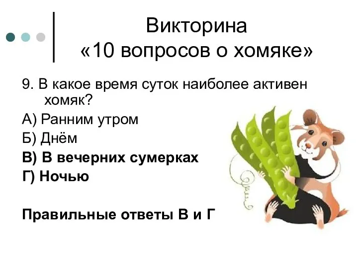 Викторина «10 вопросов о хомяке» 9. В какое время суток наиболее