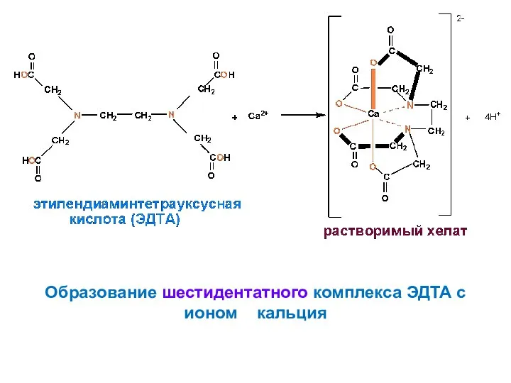 Образование шестидентатного комплекса ЭДТА с ионом кальция