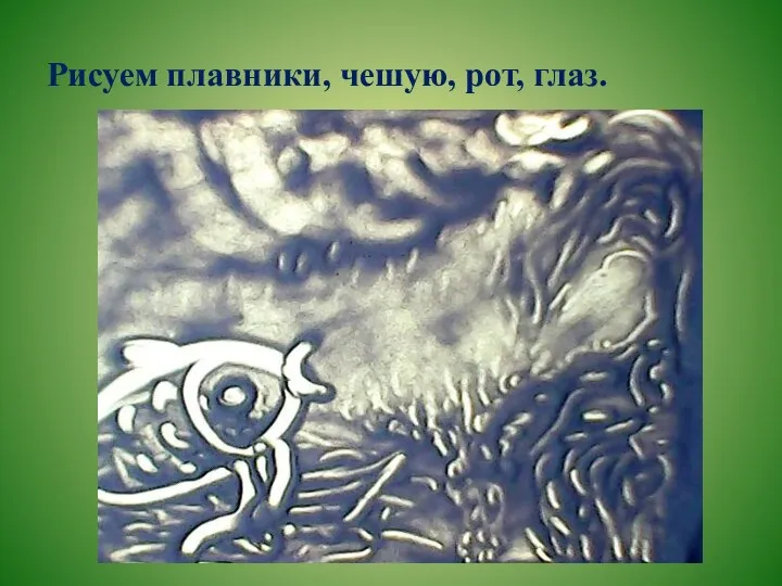 Рисуем плавники, чешую, рот, глаз.