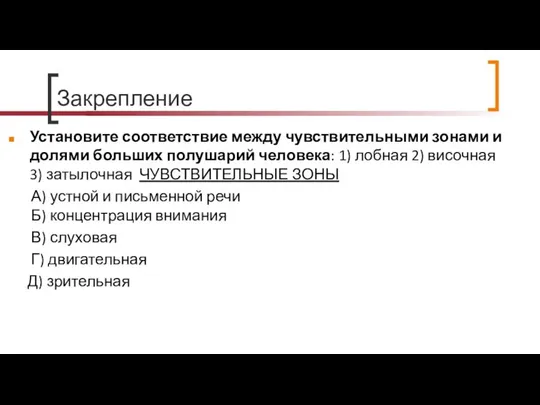 Закрепление Установите соответствие между чувствительными зонами и долями больших полушарий человека: