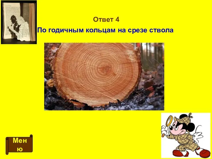 Ответ 4 Меню По годичным кольцам на срезе ствола