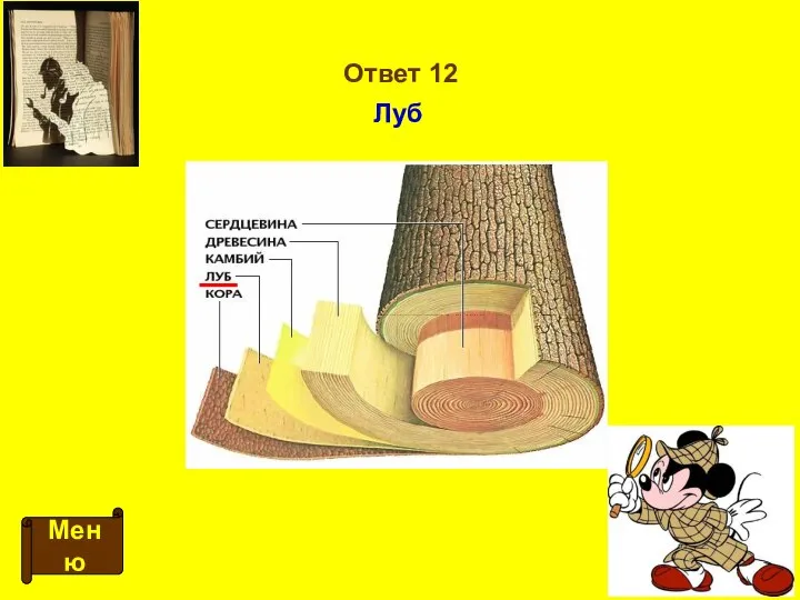 Ответ 12 Меню Луб