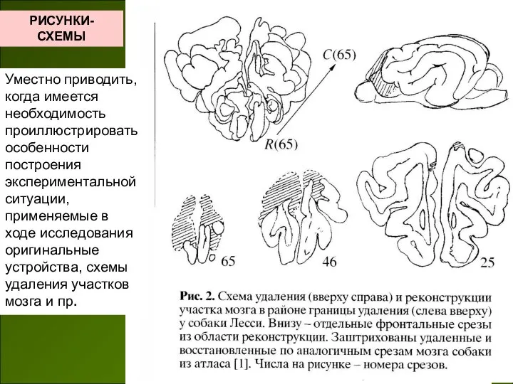 РИСУНКИ-СХЕМЫ Уместно приводить, когда имеется необходимость проиллюстрировать особенности построения экспериментальной ситуации,