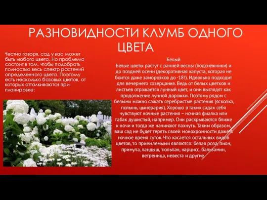 РАЗНОВИДНОСТИ КЛУМБ ОДНОГО ЦВЕТА Честно говоря, сад у вас может быть