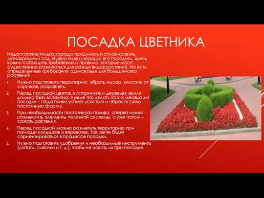 ПОСАДКА ЦВЕТНИКА Недостаточно только хорошо продумать и спланировать монохромный сад. Нужно