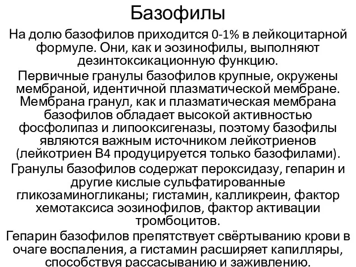 Базофилы На долю базофилов приходится 0-1% в лейкоцитарной формуле. Они, как