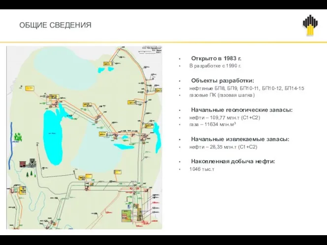 ОБЩИЕ СВЕДЕНИЯ Открыто в 1983 г. В разработке с 1990 г.