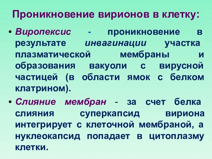 Проникновение вирионов в клетку: Виропексис - проникновение в результате инвагинации участка