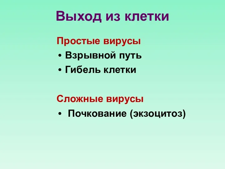 Выход из клетки Простые вирусы Взрывной путь Гибель клетки Сложные вирусы Почкование (экзоцитоз)